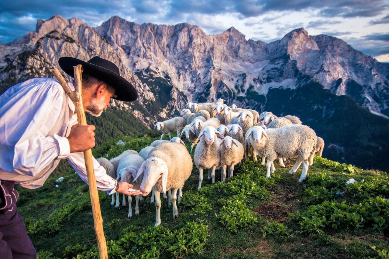 فيلا Tourist Farm Senkova Domacija زغورنجي جيزرسكو المظهر الخارجي الصورة
